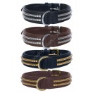 Ace Comfy  Leather Padded Dog Collar with Chrome & Brass Studs (Black, Brown)